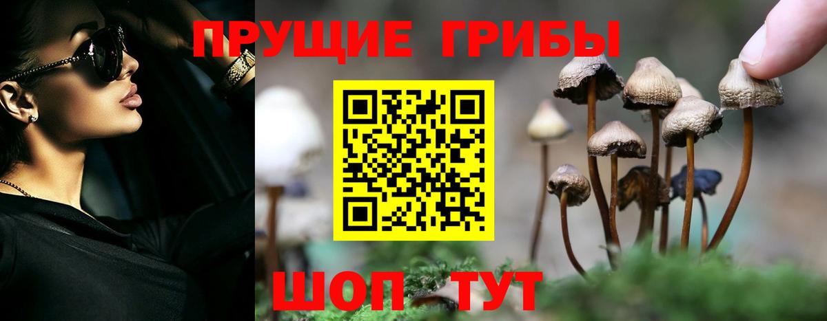 Псилоцибиновые грибы Magic Shrooms  Вход с VPN  Раменское  Псилоцибиновые грибы Magic Shrooms 